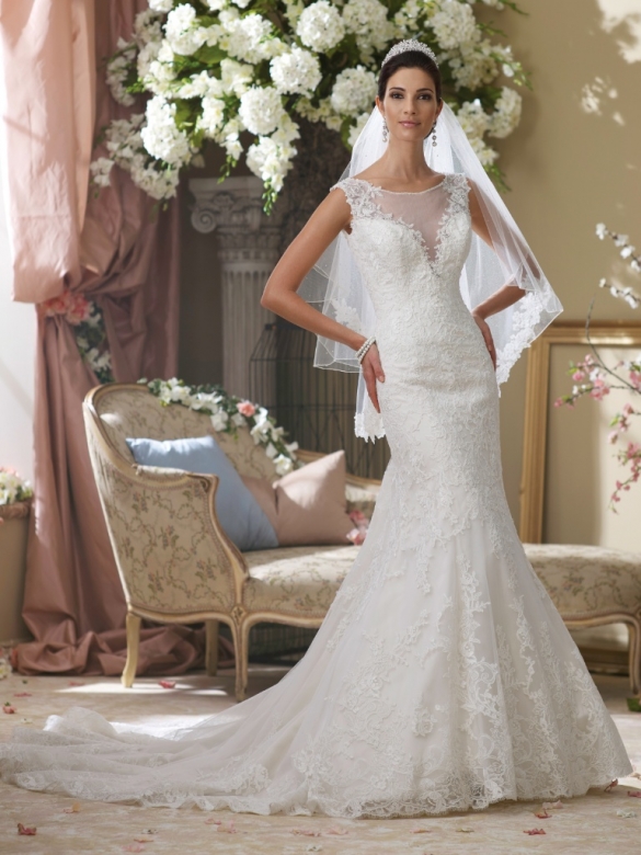 Wedding Dresses Cornwall 18